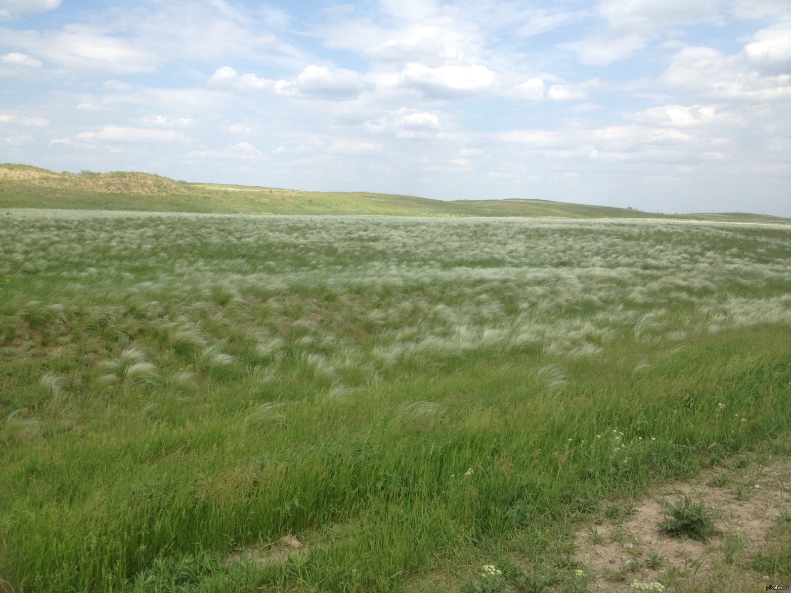 просторы ставропольского края. родные просторы оренбург. простор ставрополь. просторы ставрополья. простор ставрополь.