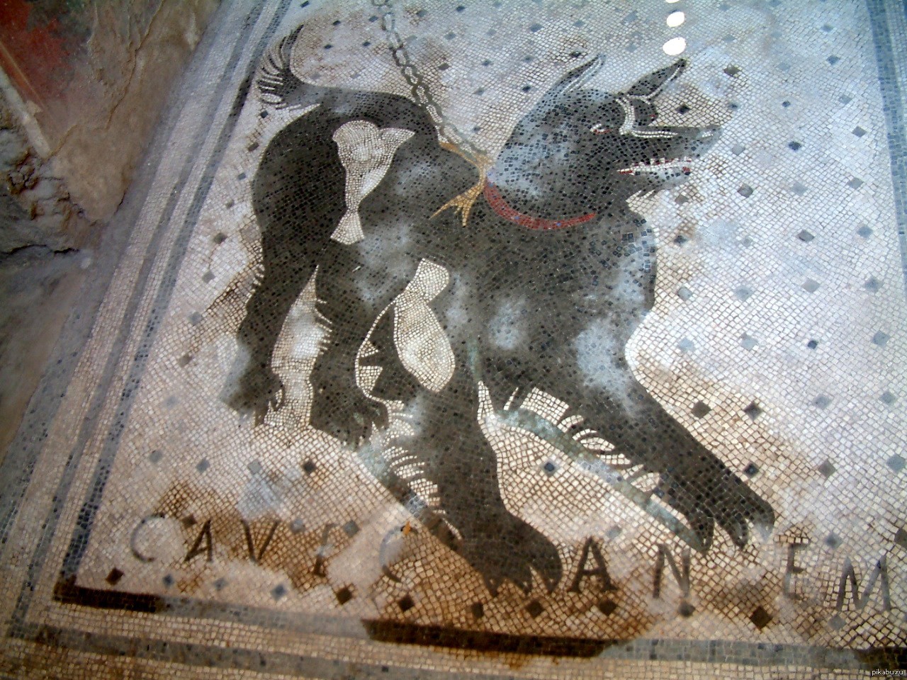 Cave canem фф. Cave Canem мозаика Помпеи. Помпеи Берегись собаки. Помпеи мозаика собака. Мозаика пса Помпеи.