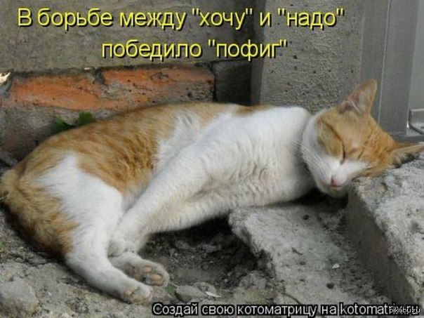 В жизни всегда есть место пофигу. Между пофигу и зашибись. Между пофигу и зашибись. Между пофигу и зашибись. Между пофигу и зашибись.