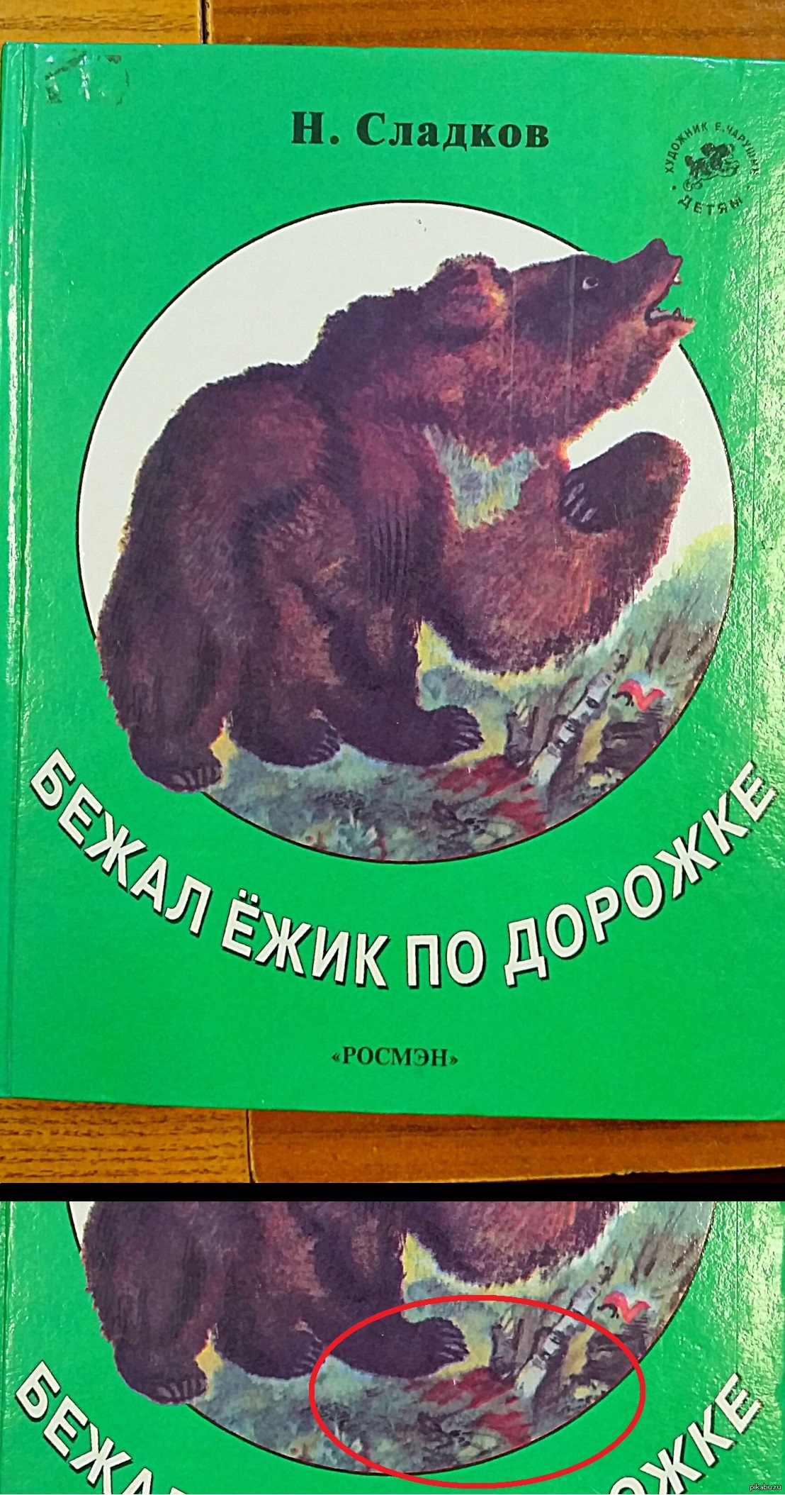 Сладков произведения николая сладкова. «лесные сказки», сладков н. И. «лесные сказки», сладков н. Сладков рассказы для 2 класса о природе.