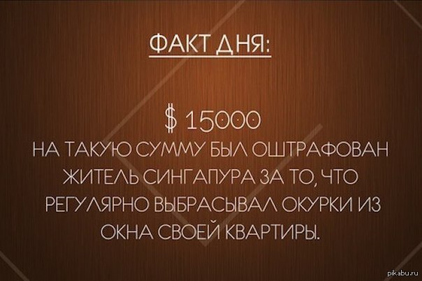 На дне факты. Факт дня. Интересный факт дня. Факт дня картинки. Рубрика факт дня.