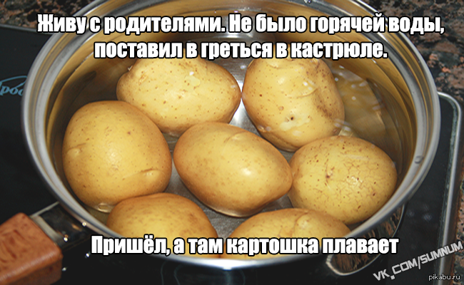 Включи про картошку. Смешная картошка. Картошка прикол. Приколы про картошку картинки. Мемы про картошку.