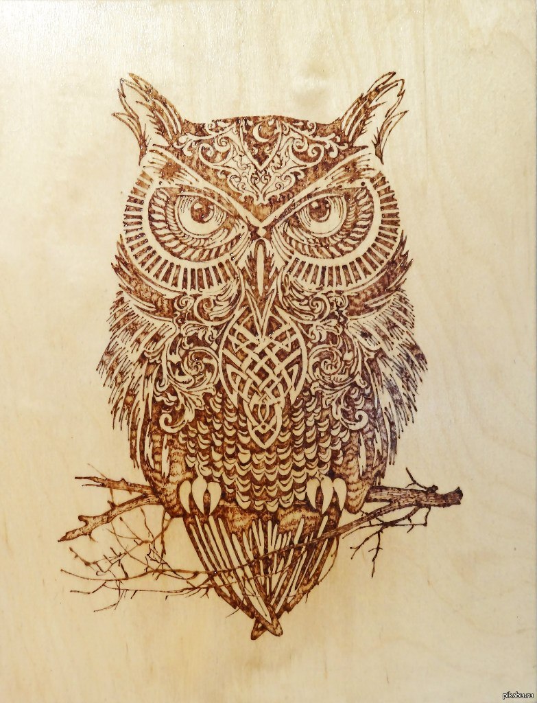 Сова для выжигания по дереву. Сова выжигателем по дереву. Сова для выжигания. Сова для выжигания по дереву. Сова выжигателем по дереву.