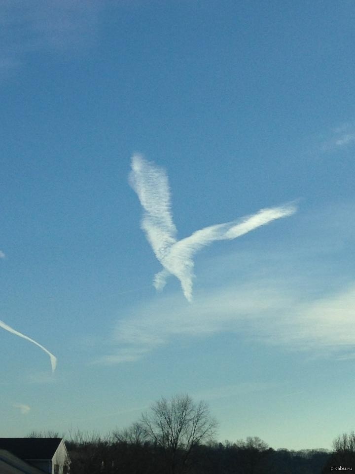 В небе видит знак. Ангел в небе. Облака похожие на птиц. Птицы в небе. Небо с облаками.