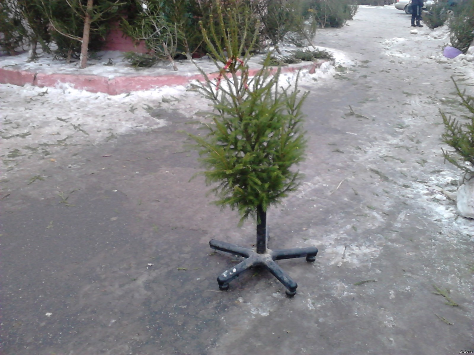 Соображалка русских людей..) | Пикабу