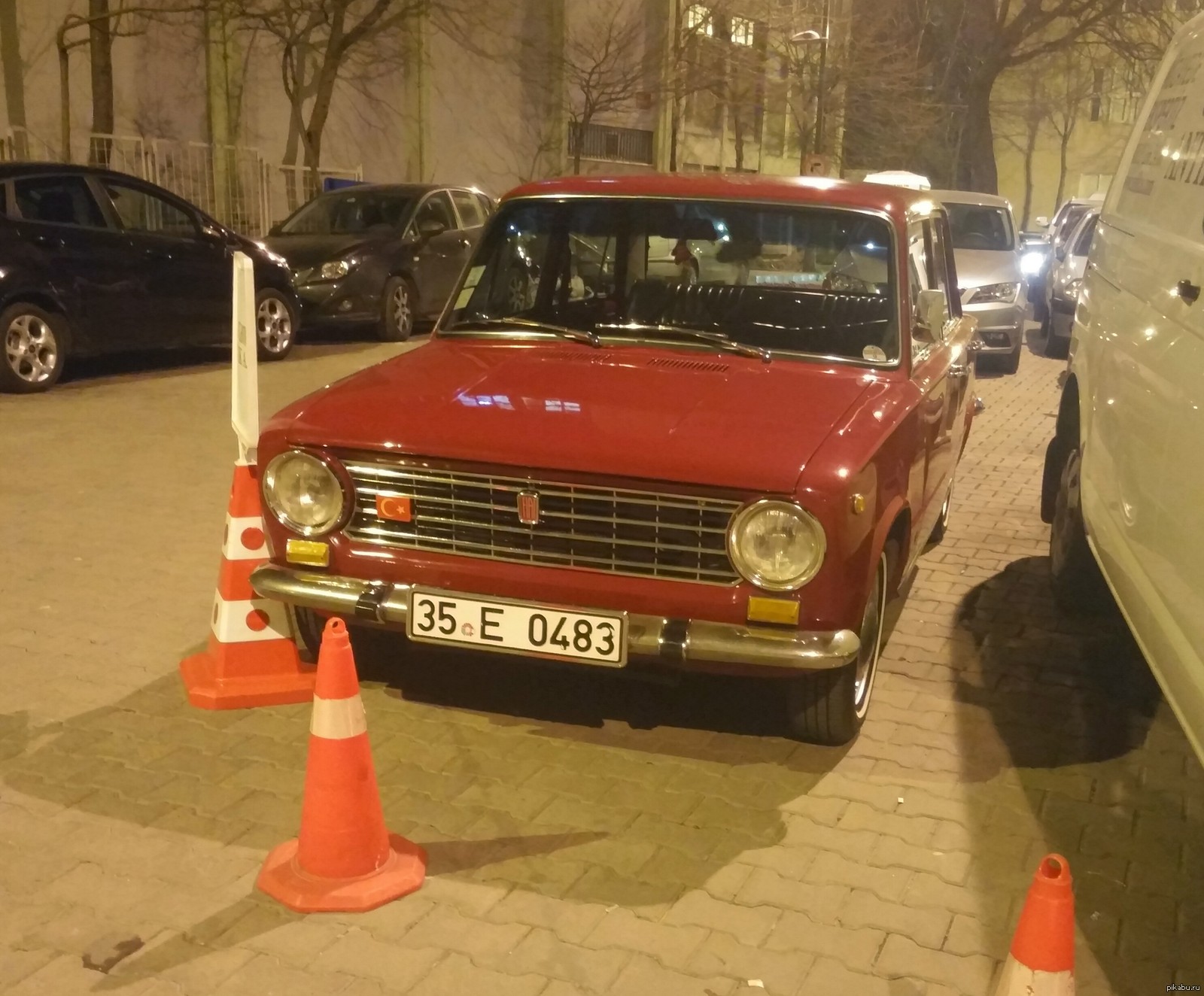 Повстречал этого красавца в Стамбуле. | Пикабу