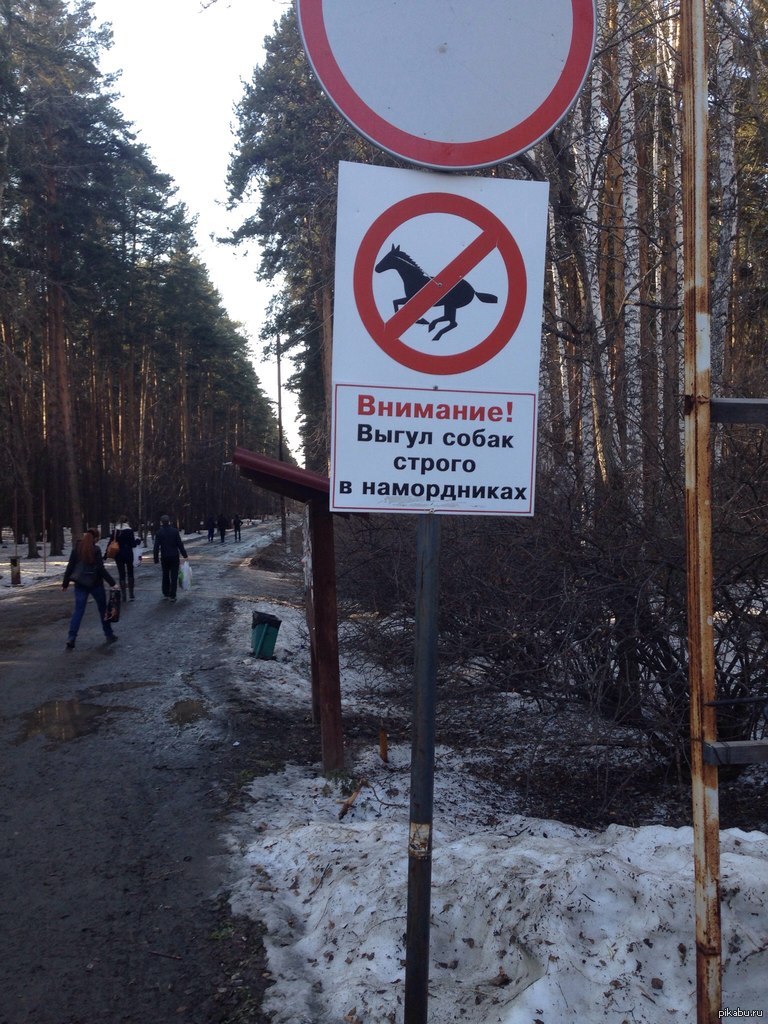 Выгул собак запрещен | Пикабу