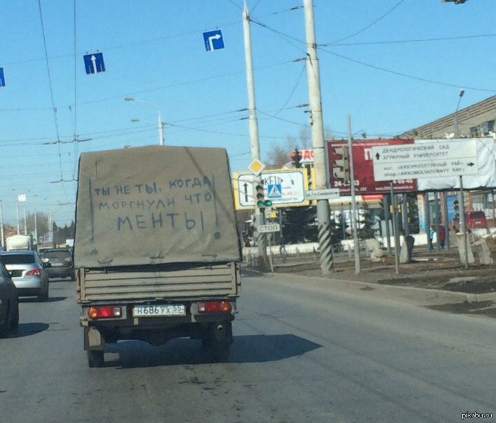 Смешные картинки смешные поговорки