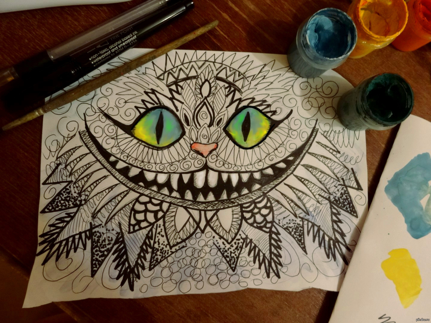 Котик | Пикабу