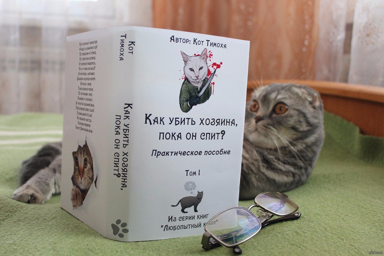 Книга готова дать. Книги с котами. Книги про кошек. Книга котик.