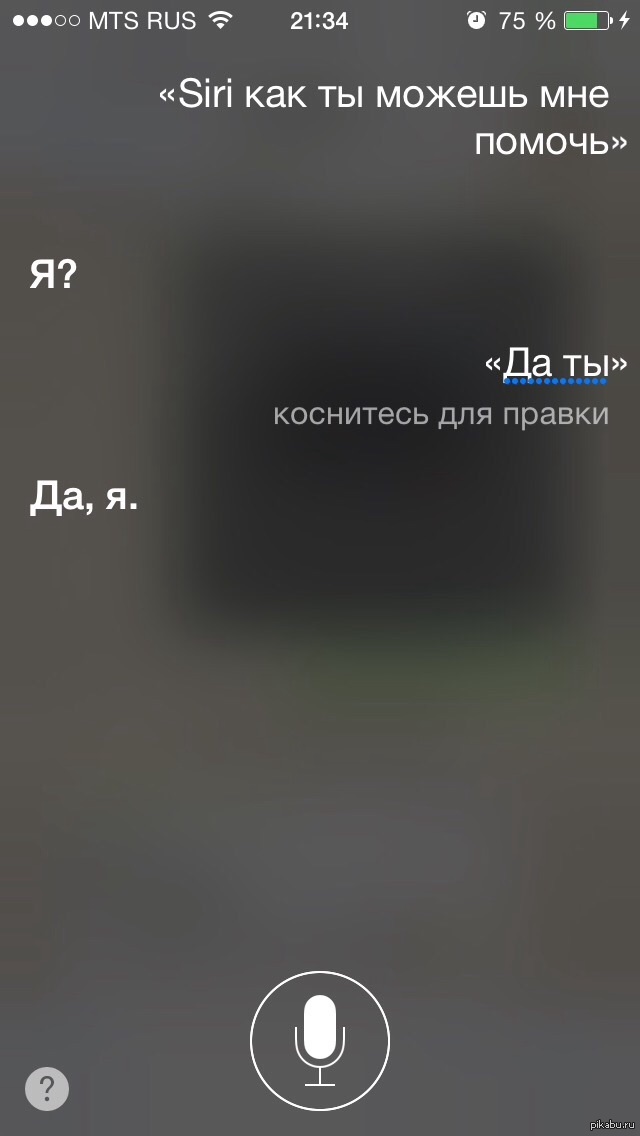 Сири помощь. Сири. Siri приколы. Диалог с сири. Фотографии сири.