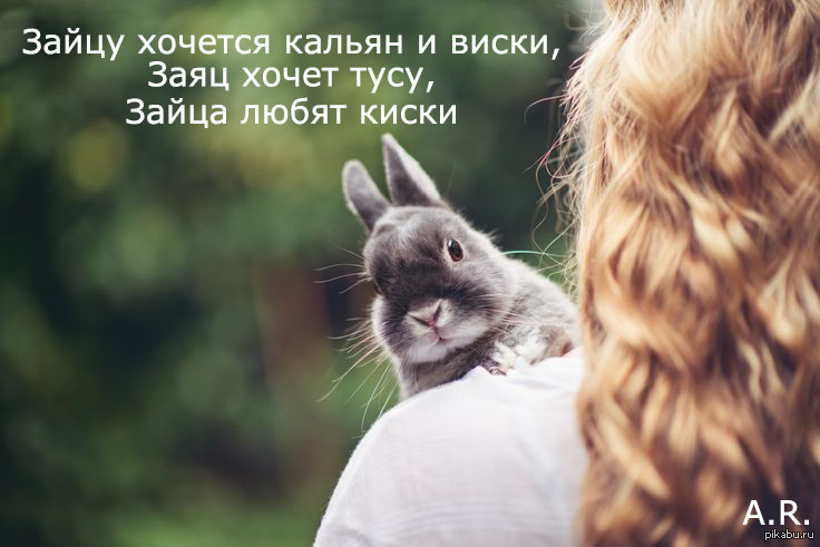 Подруги зайчики. Девушка кролик. Девушка заяц. Красивая девушка с кроликом. Фотосессия с кроликом.