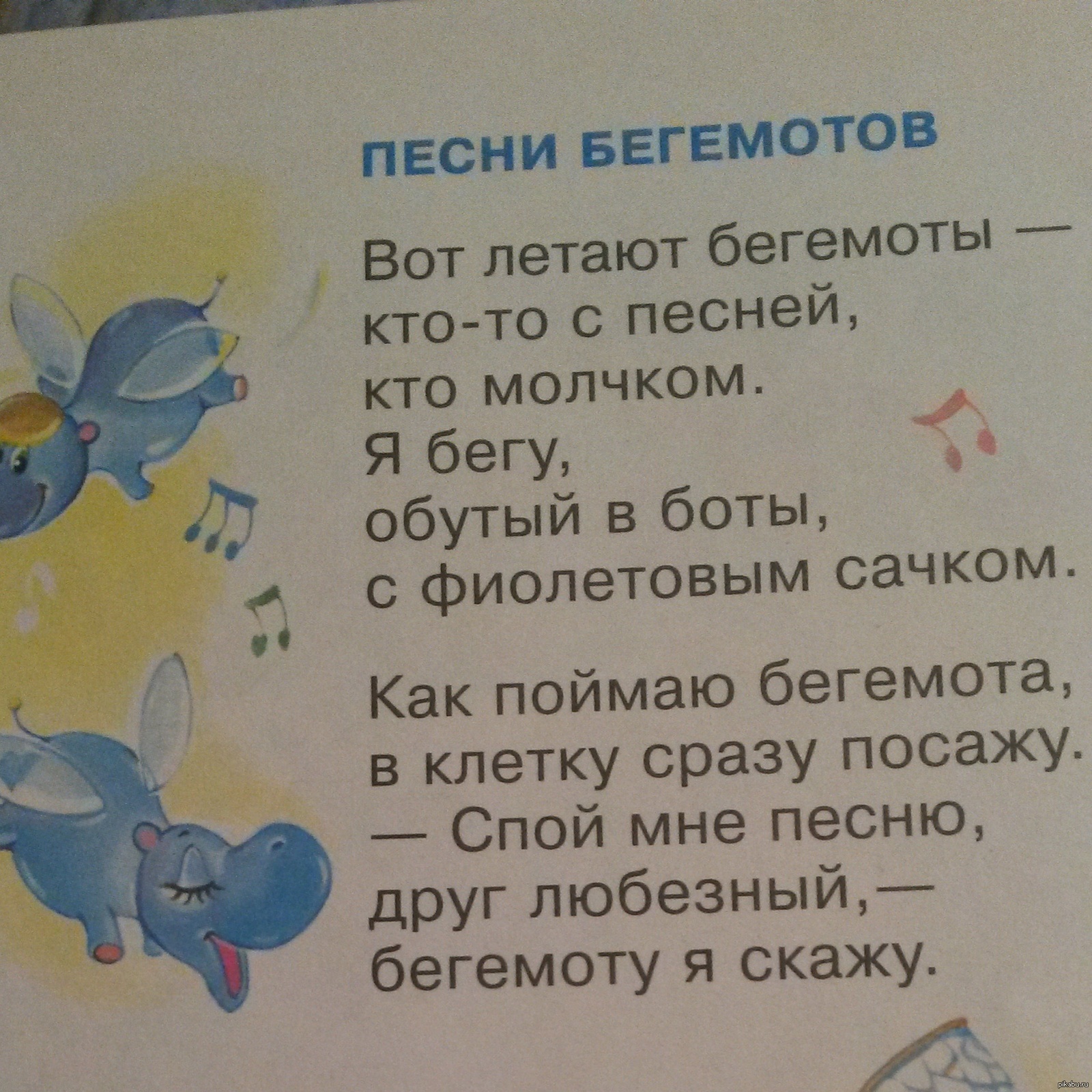 Бежали бегемотики песня. Стихи про ботов. Тим Собакин стихи про бегемотов. Летающие Бегемоты стих. Тим Собакин летающие Бегемоты.