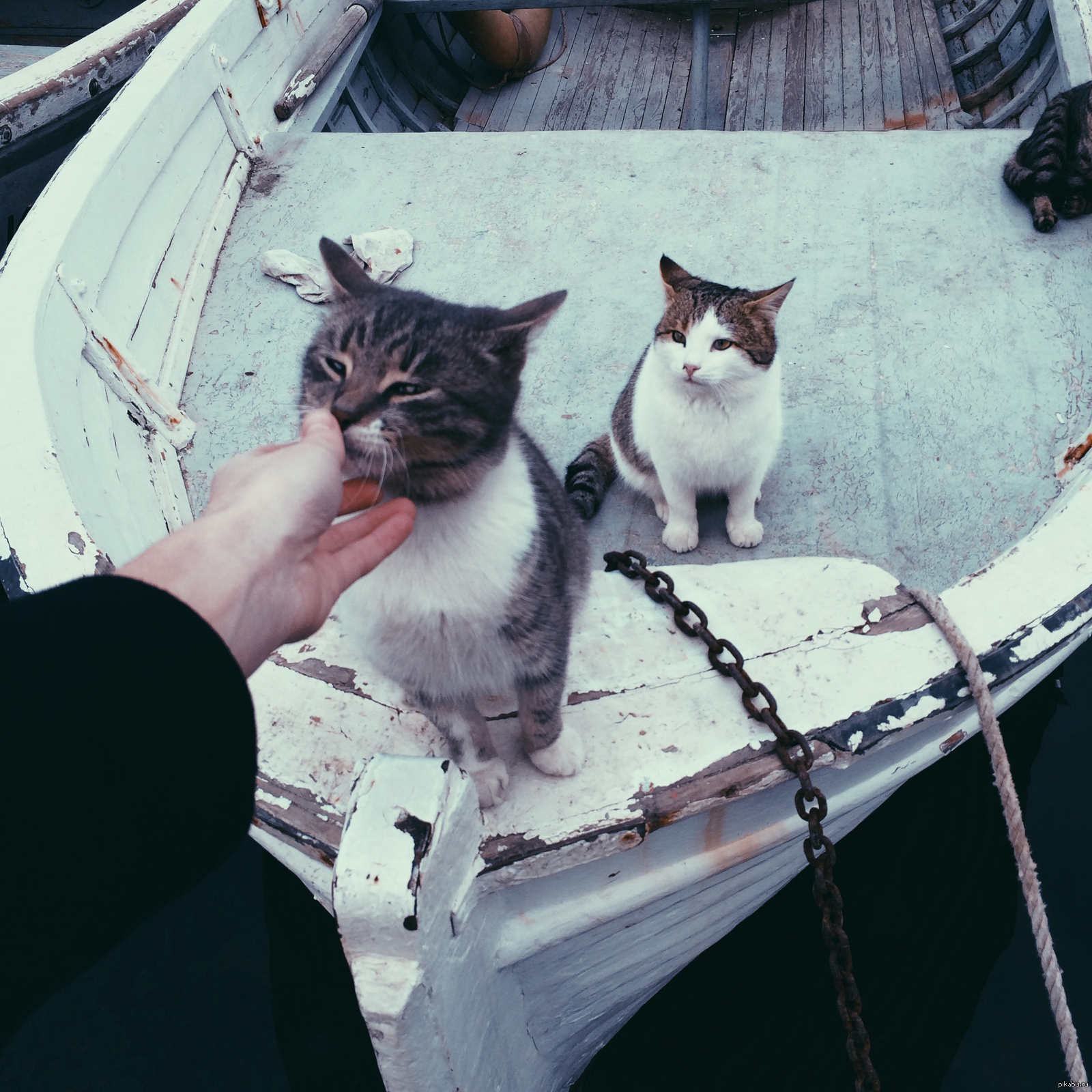 Добрее будь) | Пикабу