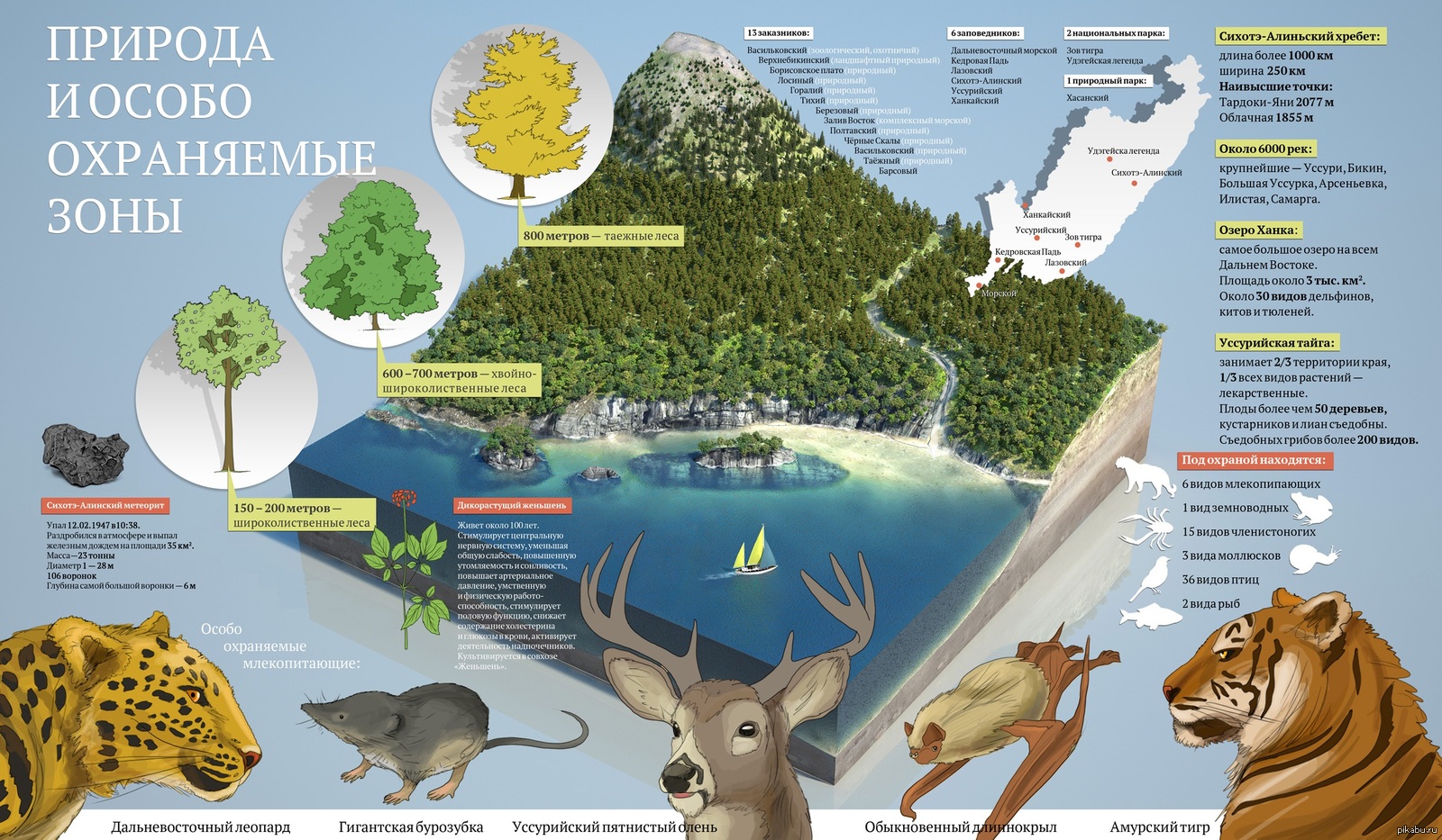 Животный мир особо охраняемых природных территорий. Инфографика природа. Инфографика заповедник. Природа и особо охраняемые зоны. Инфографика природные зоны.