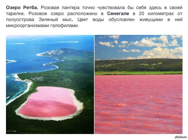 Вода стала розовой. Озеро Ретба Сенегал. Хиллер Австралия. Розовое озеро Хиллер Австралия. Озеро Хиллер (остров Миддл).