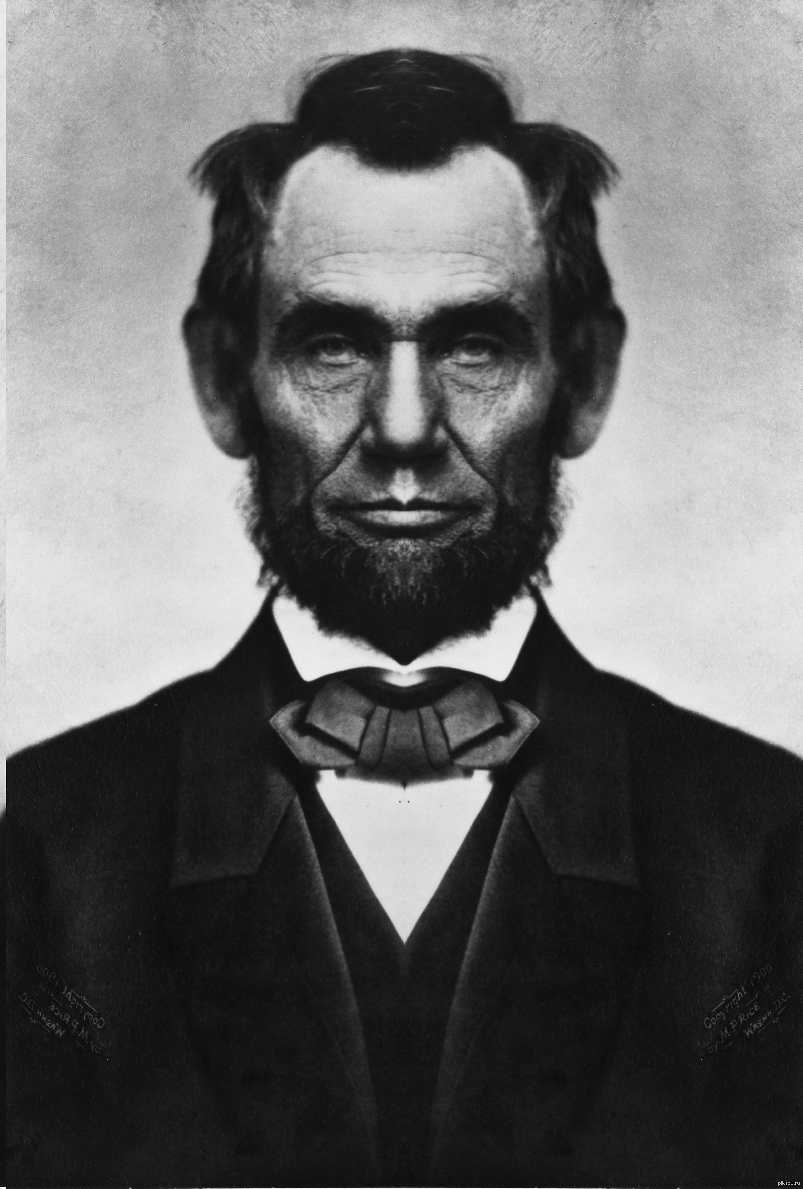 Билатеральная симметрия | Пикабу