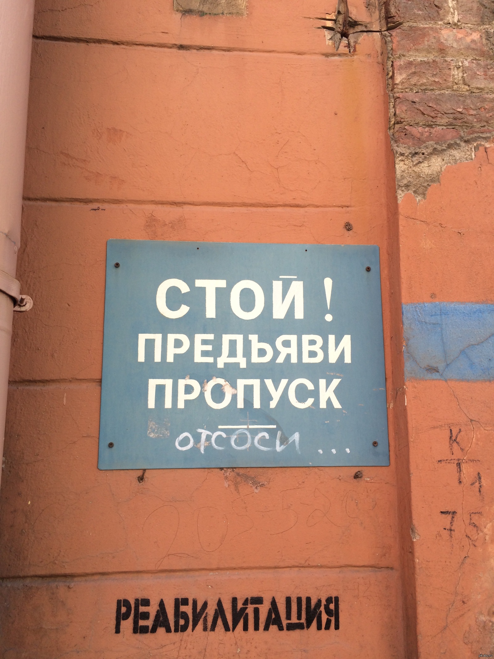 Питер) | Пикабу
