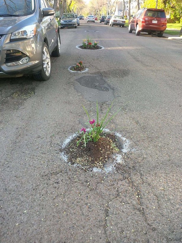 С днем асфальта мем