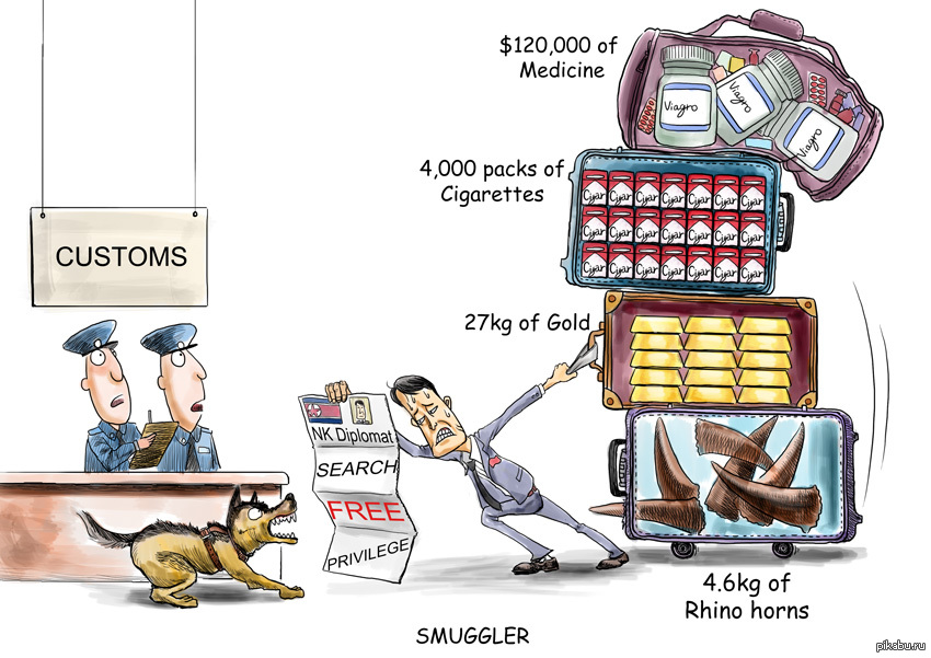 Контрабанда прикольные картинки