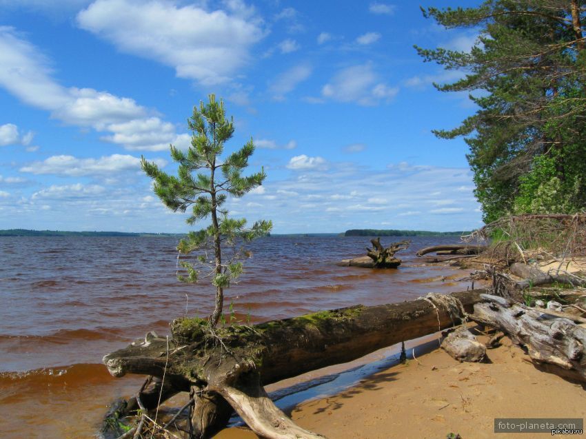 Купить Участок На Горьковском Море