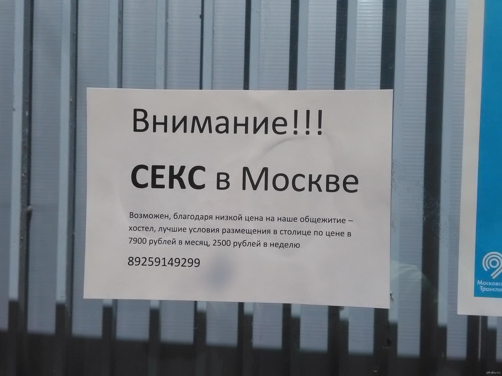 Реклама в общежитиях Москвы