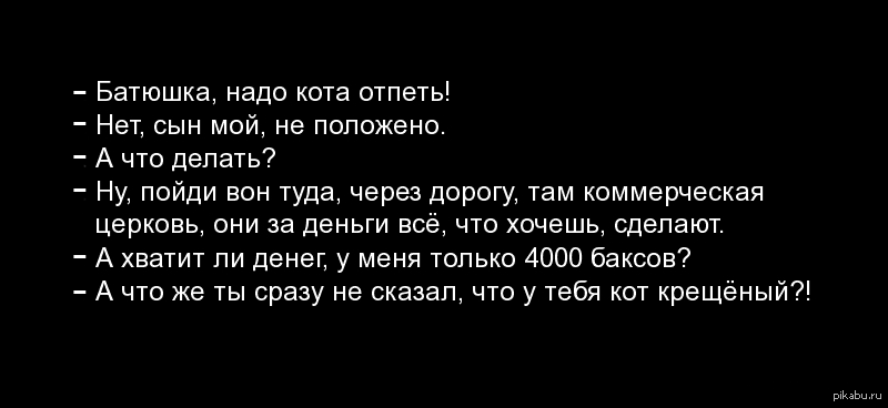 Батюшка не надо. Батюшка кота надо отпеть. Анекдот про священника и кота. Анекдот про отпеть кота. Анекдот про крещеного кота.