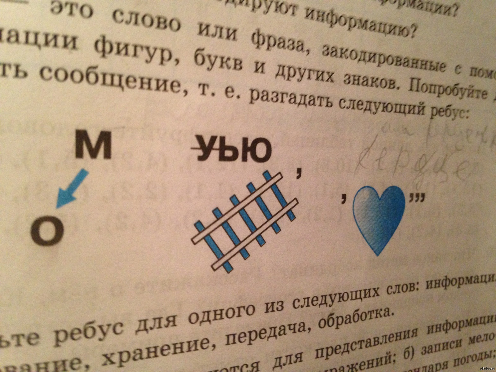 Ребусы для детей с ответами: учим разгадывать шифровки из букв, картинок и цифр