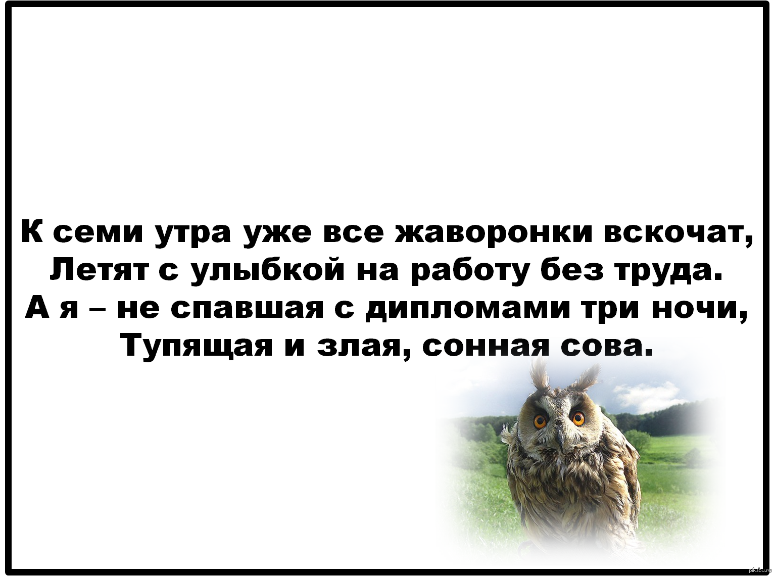 Секреты биологических часов человека у жаворонков и сов презентация