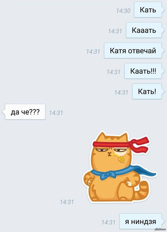 Смешные Картинки Про Катю