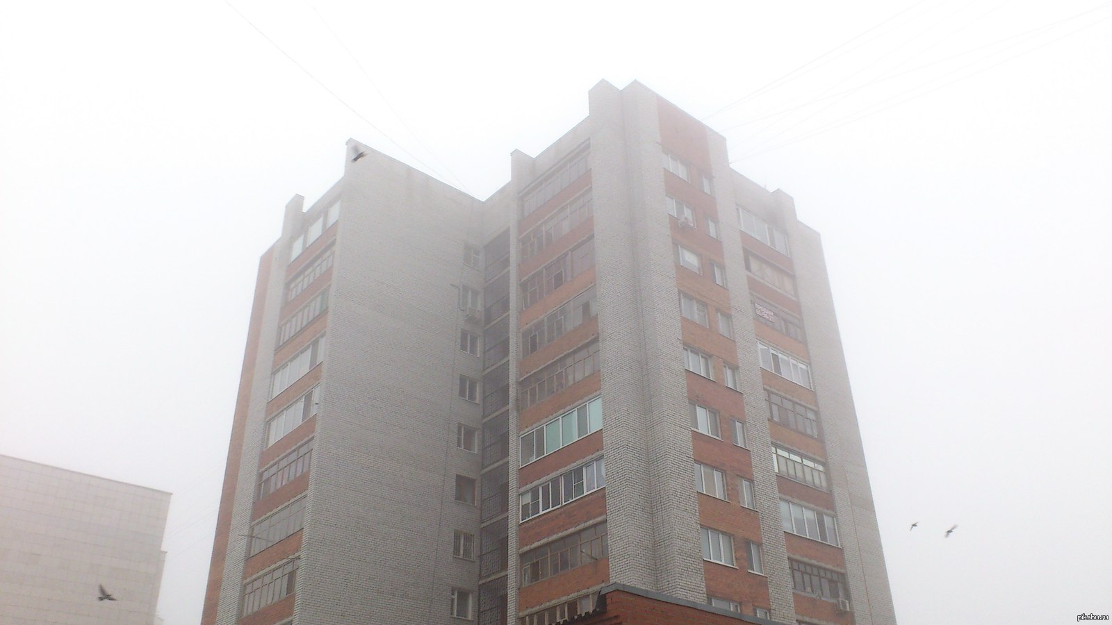 утро туманное'' (автор) 5 букв