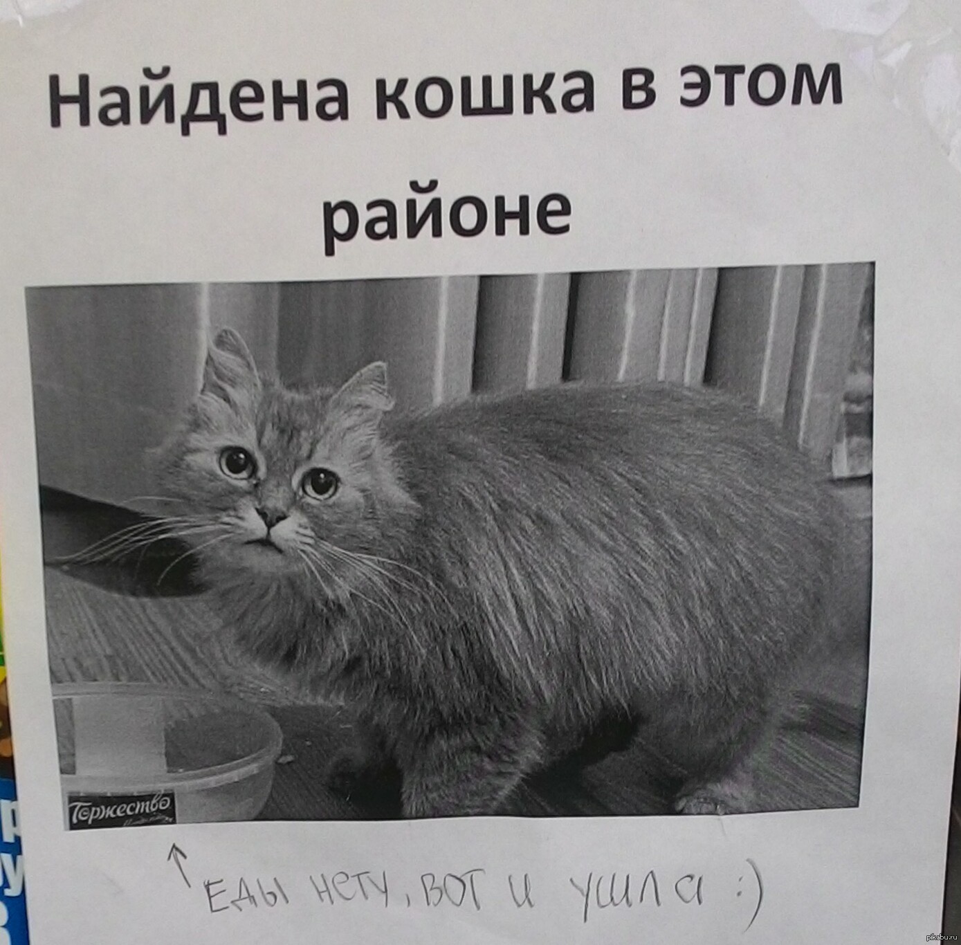 Объявление | Пикабу