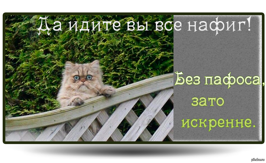 Иди нафиг. Пошли все нафиг. Идите все нафиг. Идите все нахер. Картинка пошли все нафиг.