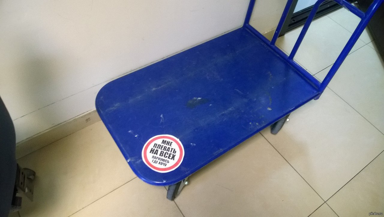 Отошел всего на 5 минут! Они везде. | Пикабу