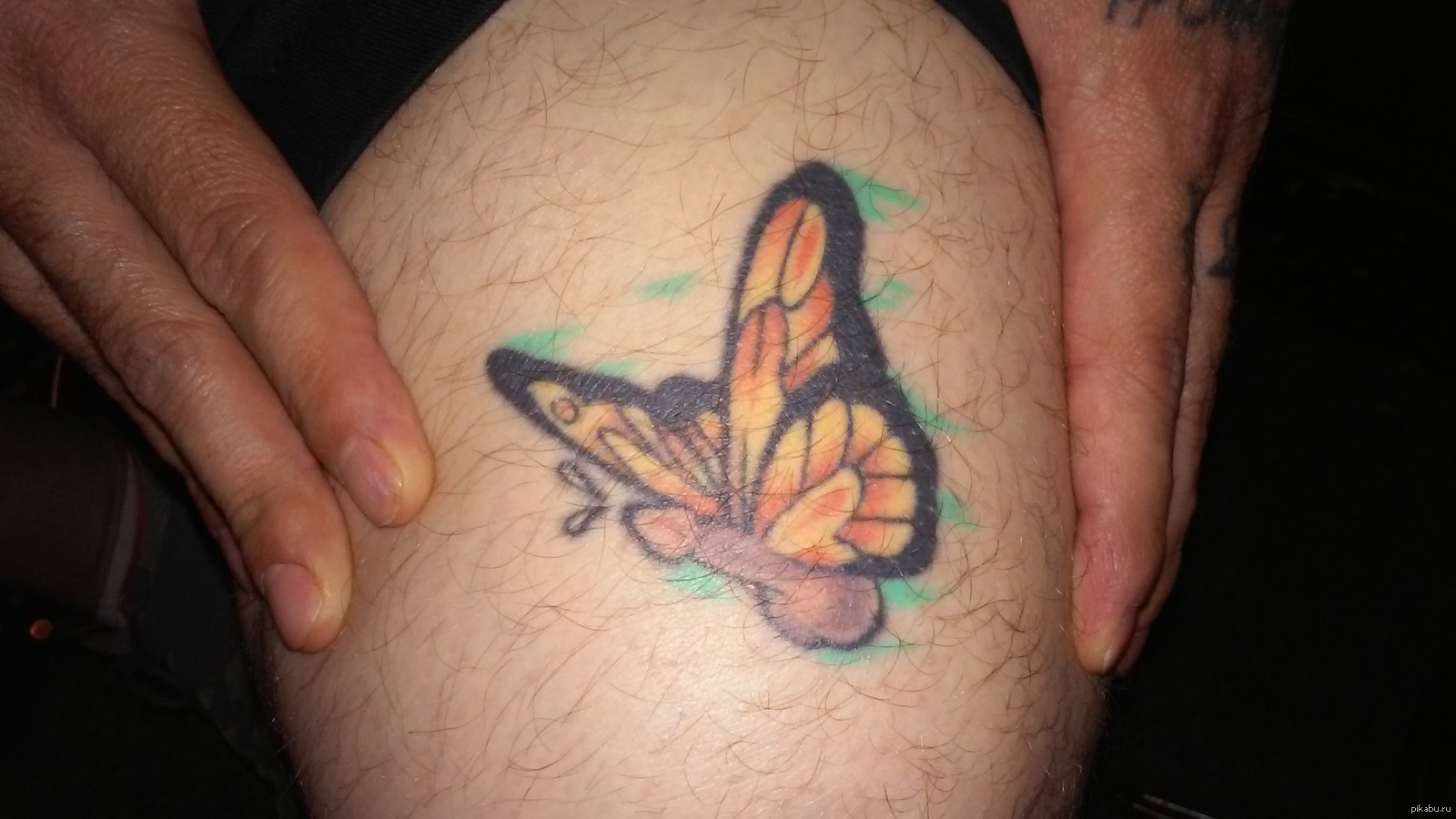 What a beautiful babo... wait a minute! - NSFW, Tattoo, Butterfly, Did not seem