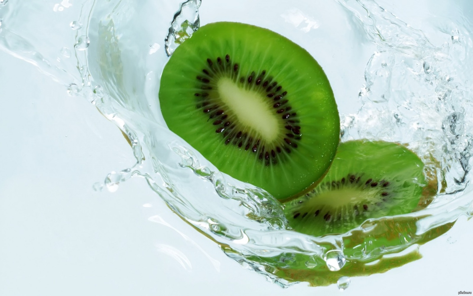 Kiwi... - NSFW, Kiwi, Wallpaper