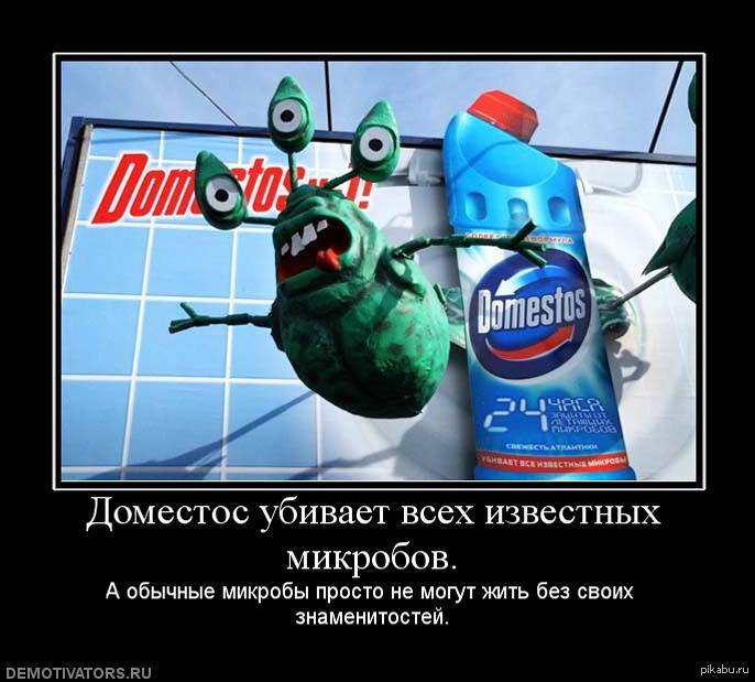 Хитрый доместос | Пикабу