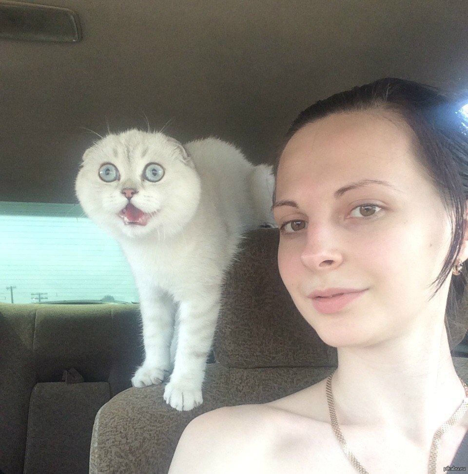Новым днем, приколы про селфи картинки с надписями