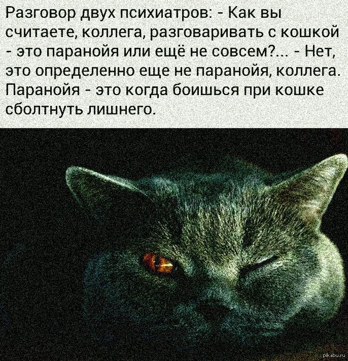 Кот психолог картинки