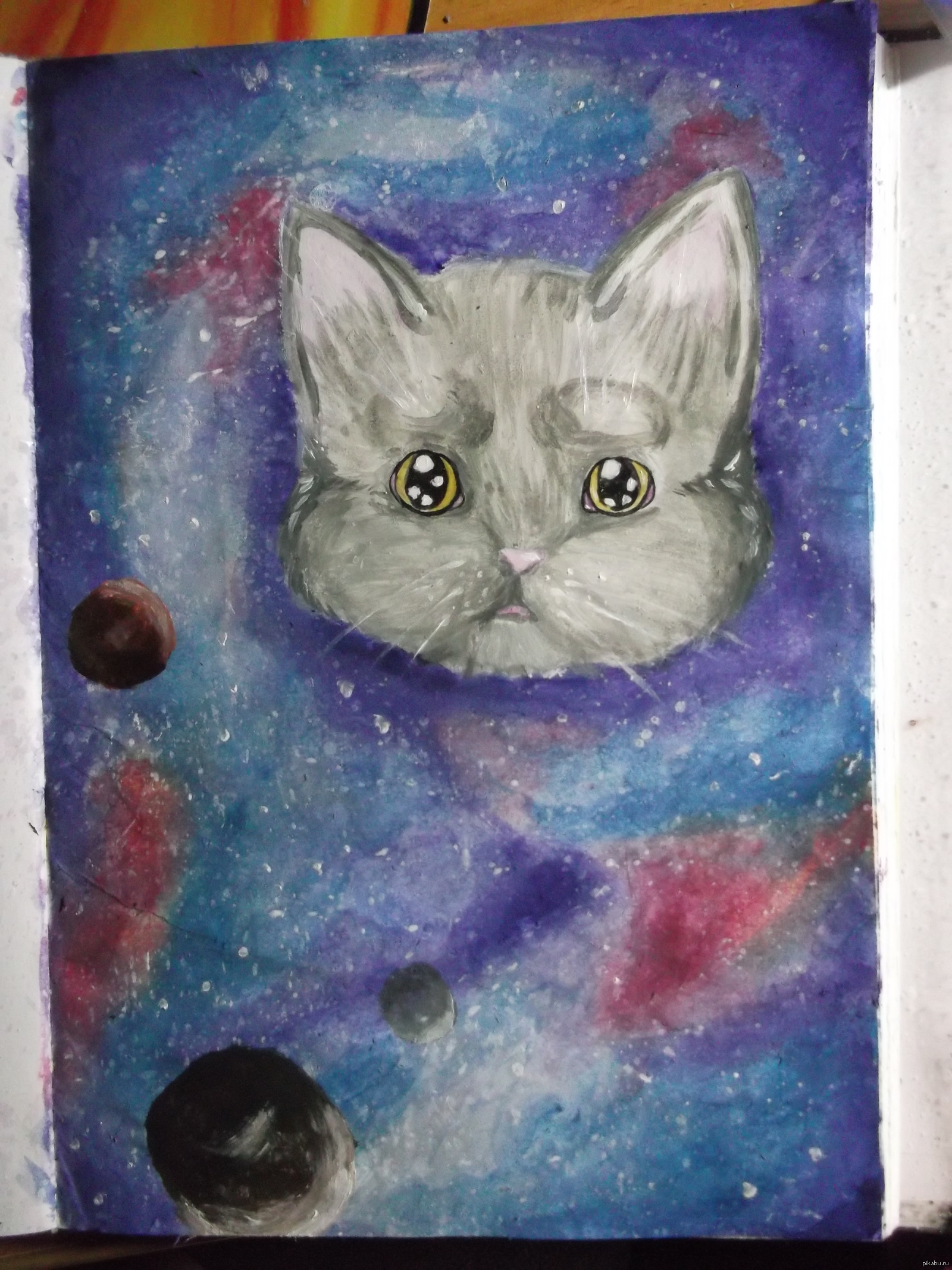 Котовселенная | Пикабу