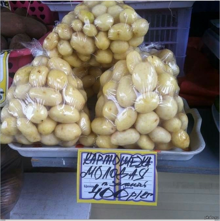 Сколько стоит килограмм свежих. Килограмм картошки. Картофель ценник. Картофель в магазине. Картошка на Чукотке.