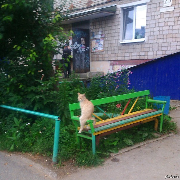 Возле подъезда. Скамейка у подъезда. Скамейка возле подъезда. Подъезд двор со скамейкой. Лавочка во дворе у подъезда.