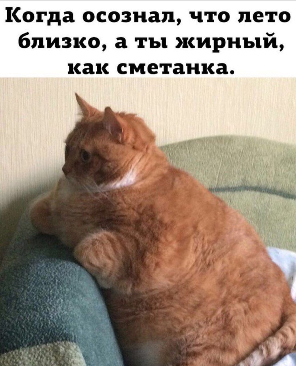 Good morning) - Summer, Slimming