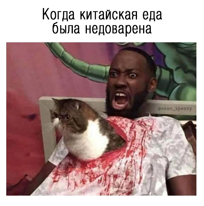 Чужой! - Китайская кухня, Чужой, Кот, 9GAG