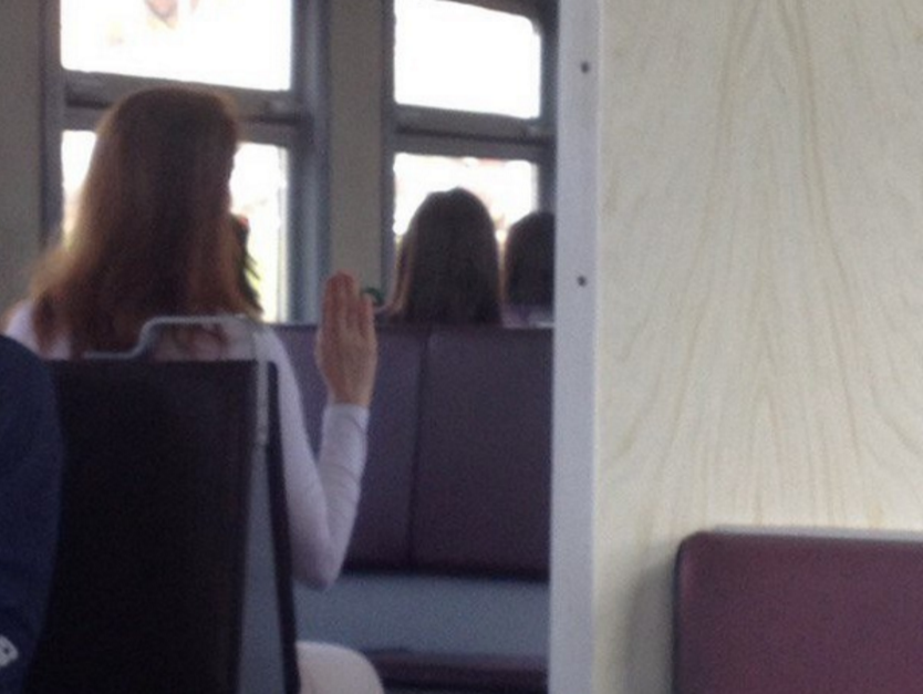 A mysterious picture of a train passenger in the Volgograd region stirred up the Internet - Train, Oddities, Hand, Girls