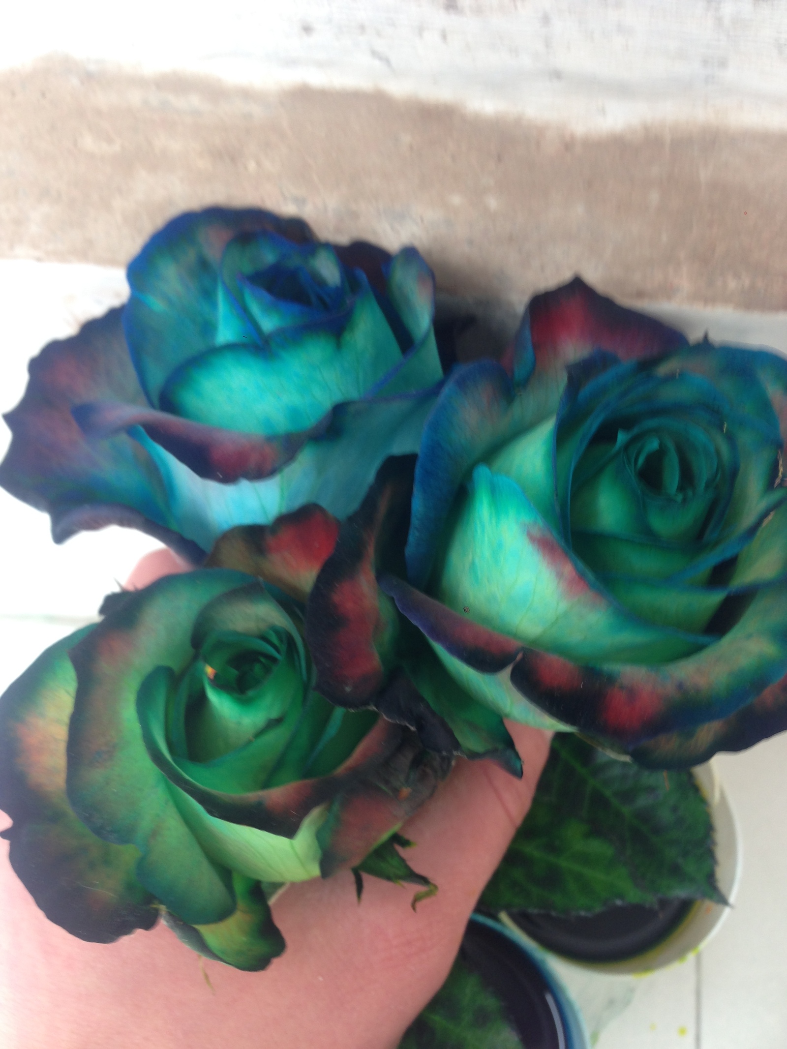 Experimenting with painting roses. Ecuador - My, , Ecuador, My, Longpost, Painting