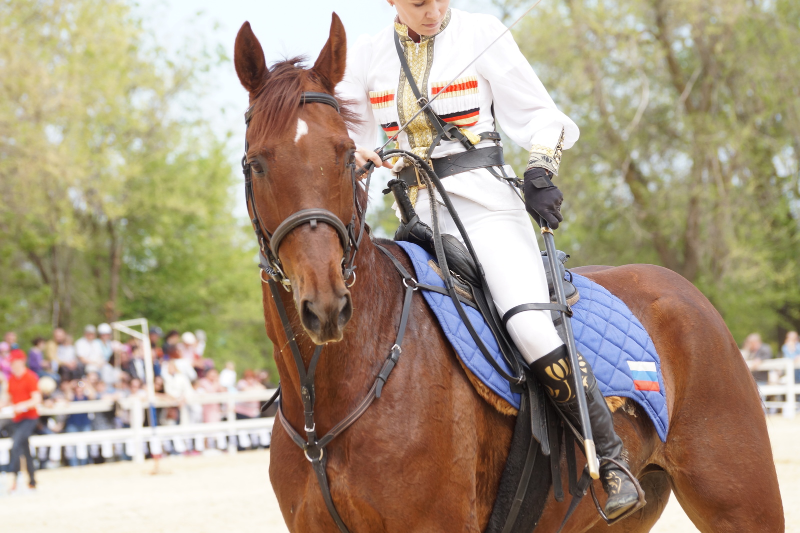 All-Russian Cup in Dzhigitovka - My, Horses, Horses, Dzhigit, The photo, Longpost