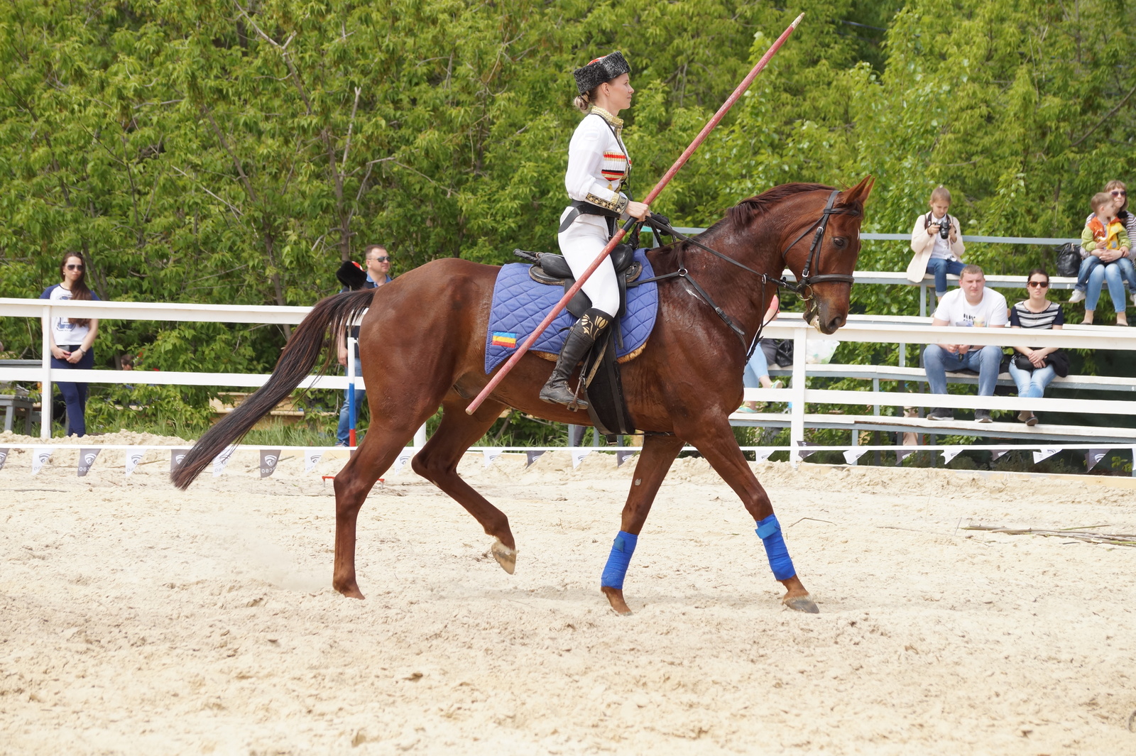 All-Russian Cup in Dzhigitovka - My, Horses, Horses, Dzhigit, The photo, Longpost