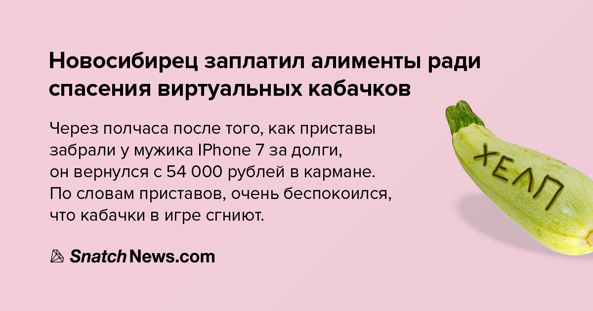 Кабачки зовут на помощь - История, Больше ада, Семья, Алименты, Отец, Приоритеты