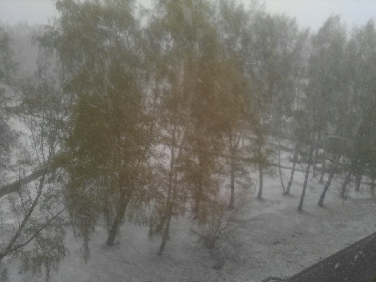 Kemerovo. May. The best time for snowfall. - My, Kemerovo, May, Bad weather, Snowfall, Yurga, Longpost